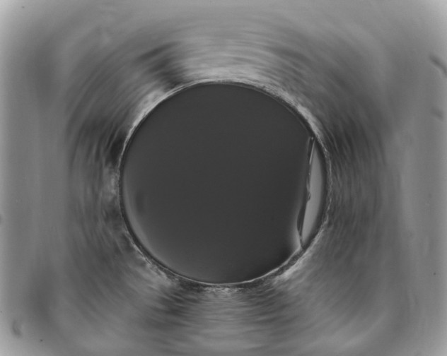 X0000095111529200712211309