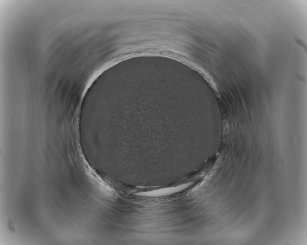 X0000095111530200712211309