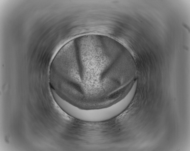 X0000095111532200712211309