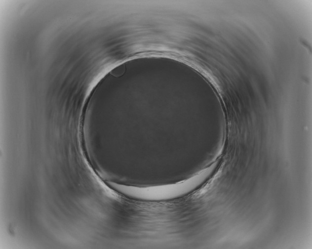 X0000095111533200712211309