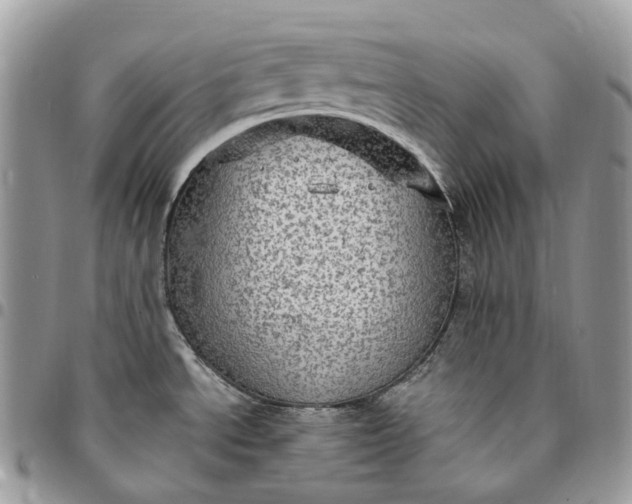 X0000095111534200712211309