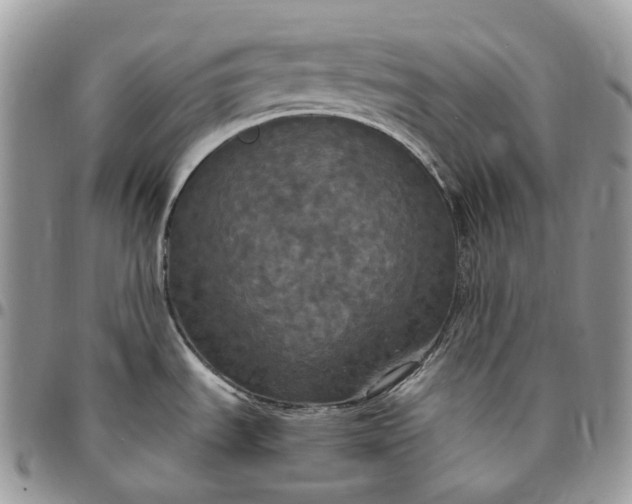 X0000095111535200712211309