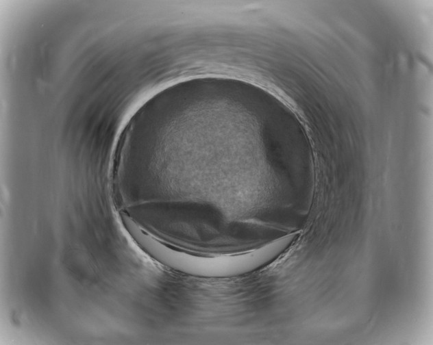 X0000095111536200712211310