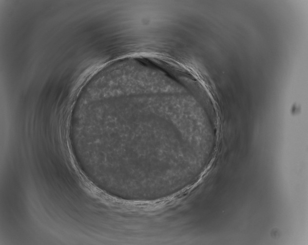 X0000095110001200712301747