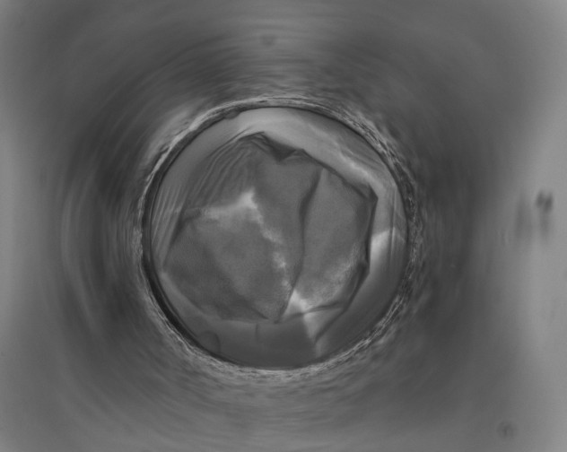 X0000095110002200712301747