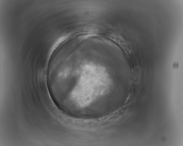 X0000095110003200712301747