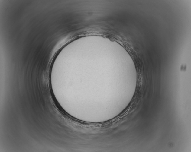 X0000095110004200712301747