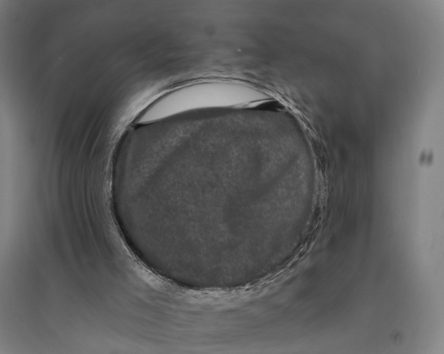 X0000095110005200712301747