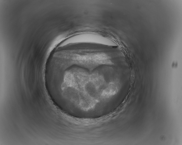 X0000095110006200712301747