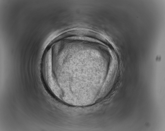 X0000095110007200712301747