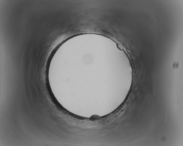 X0000095110008200712301747