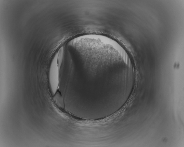 X0000095110009200712301747