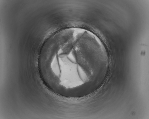 X0000095110010200712301747