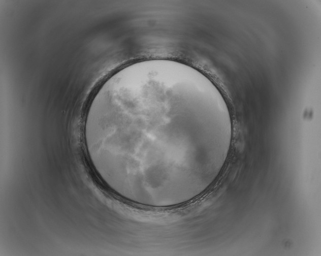 X0000095110012200712301747