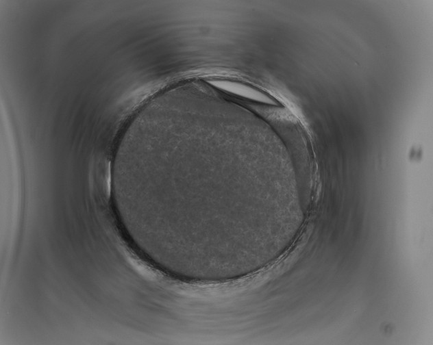 X0000095110013200712301747