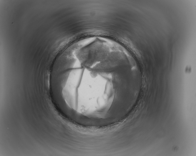 X0000095110014200712301747