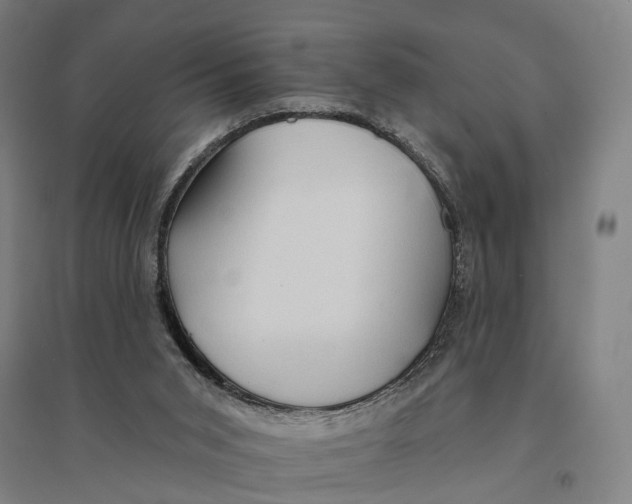 X0000095110015200712301747