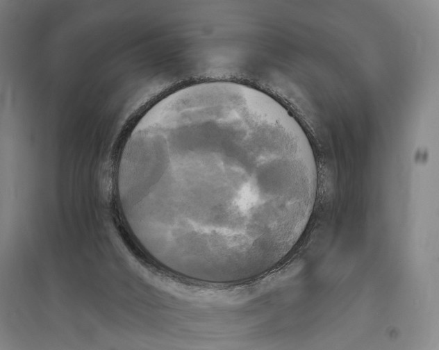 X0000095110016200712301747