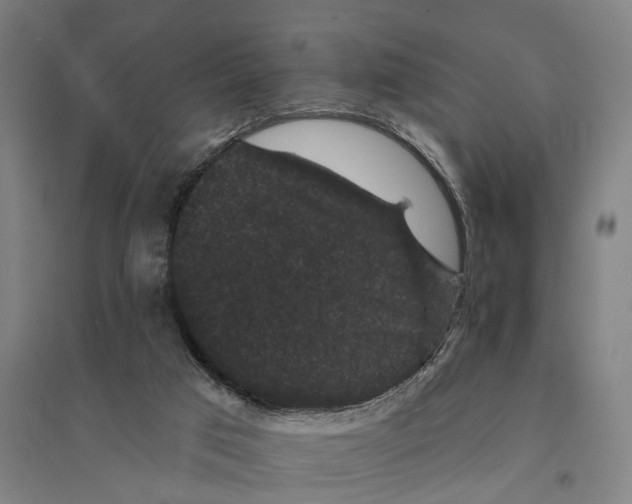 X0000095110017200712301747