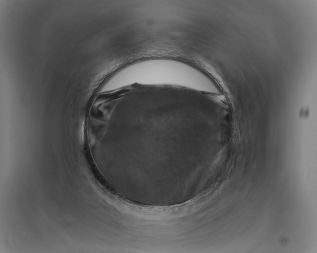 X0000095110019200712301747