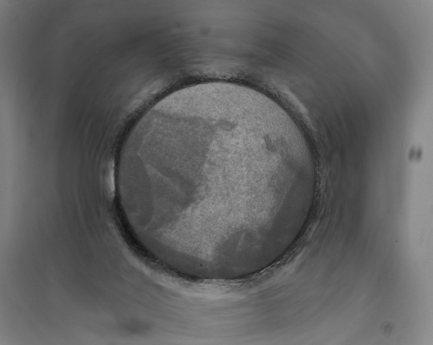 X0000095110020200712301747