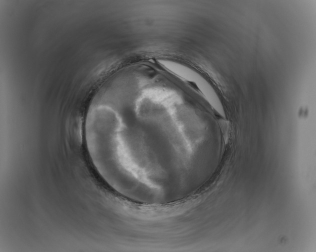 X0000095110022200712301747