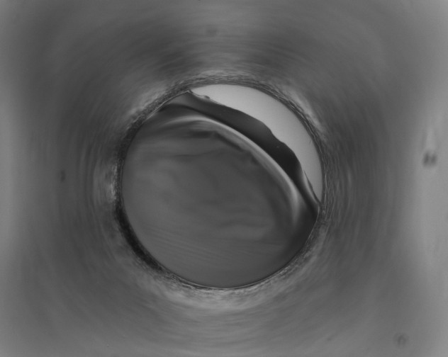 X0000095110023200712301747