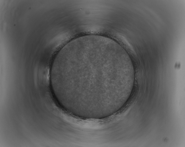 X0000095110024200712301747