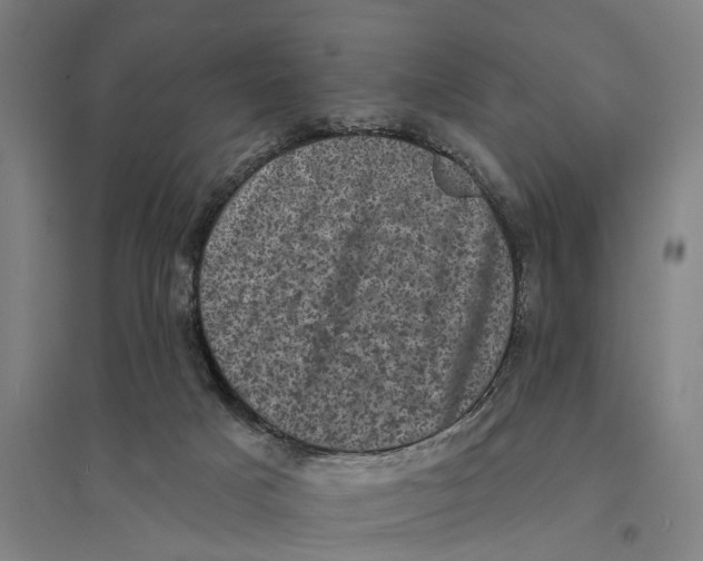 X0000095110025200712301747