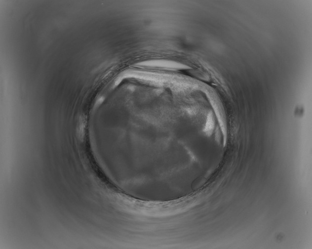 X0000095110026200712301747