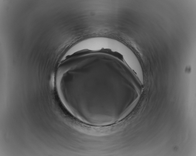 X0000095110027200712301747