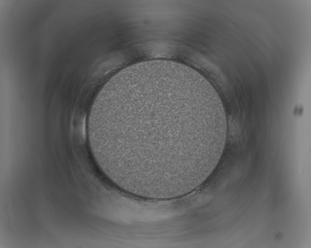 X0000095110028200712301747