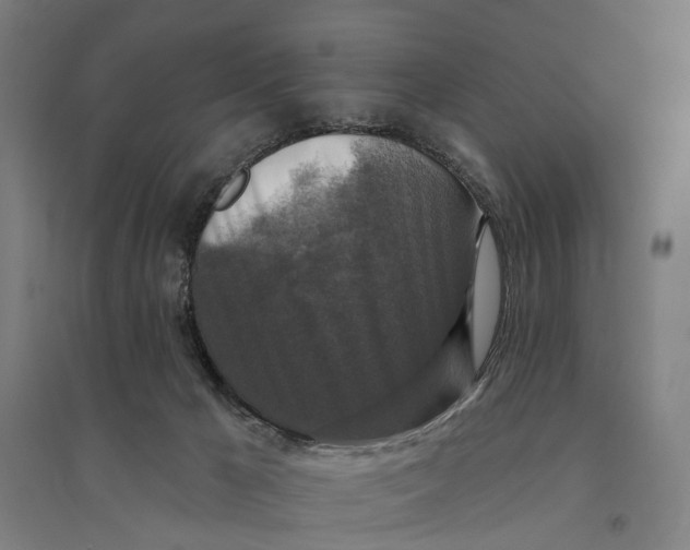 X0000095110029200712301747