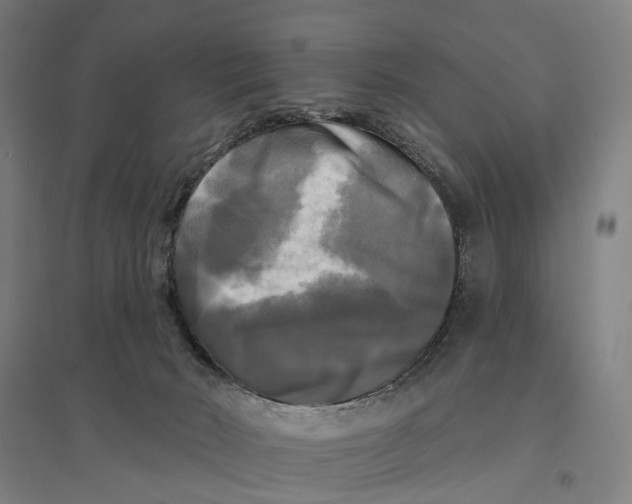 X0000095110030200712301747