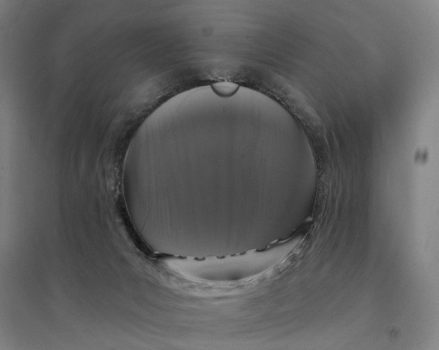 X0000095110031200712301747