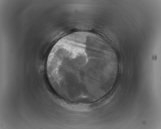 X0000095110032200712301747