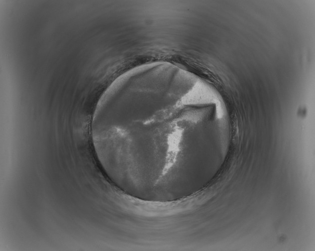 X0000095110034200712301747