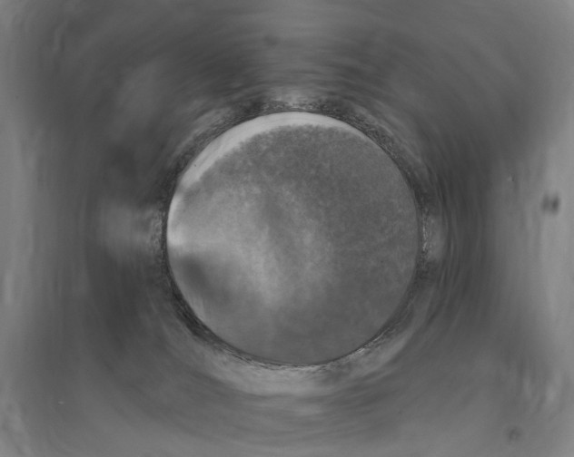 X0000095110036200712301747