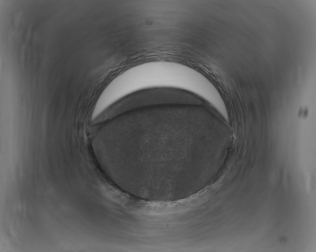 X0000095110037200712301747