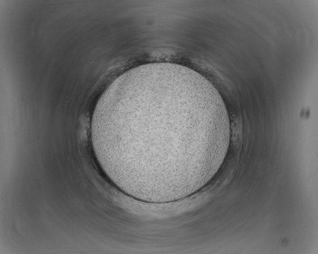 X0000095110038200712301747