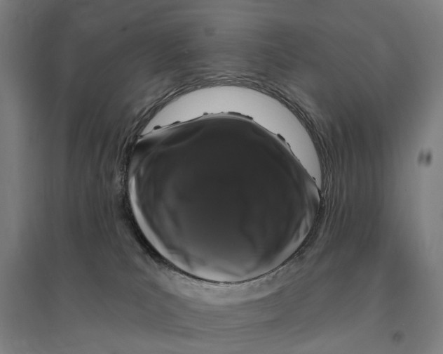 X0000095110039200712301747