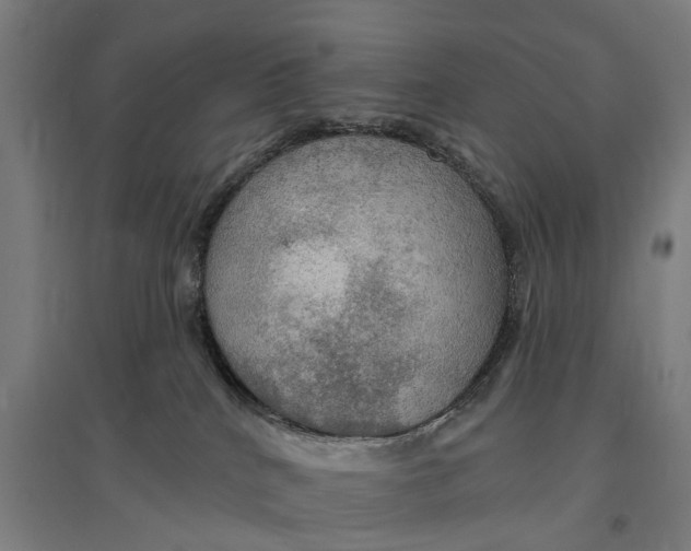 X0000095110040200712301747