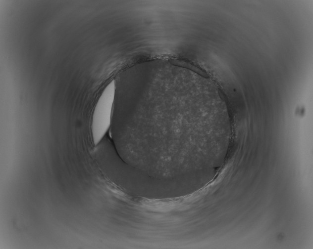 X0000095110041200712301747