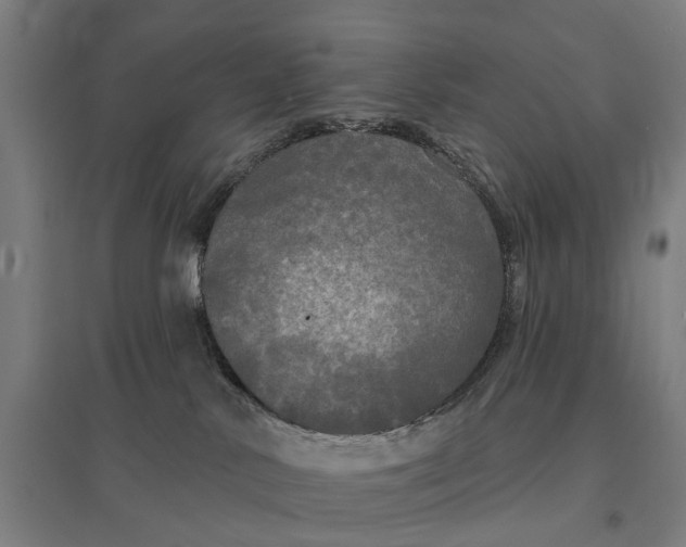 X0000095110042200712301747