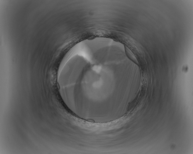 X0000095110043200712301747