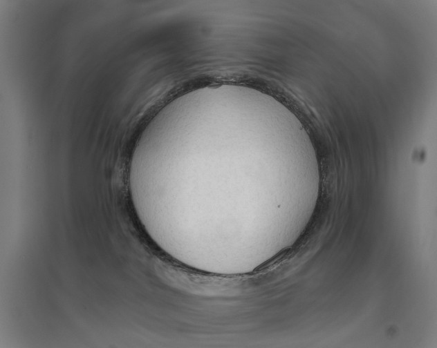 X0000095110044200712301747