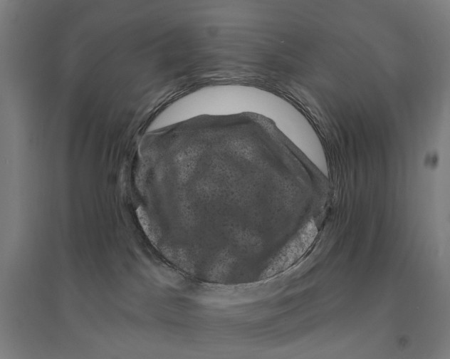 X0000095110045200712301747