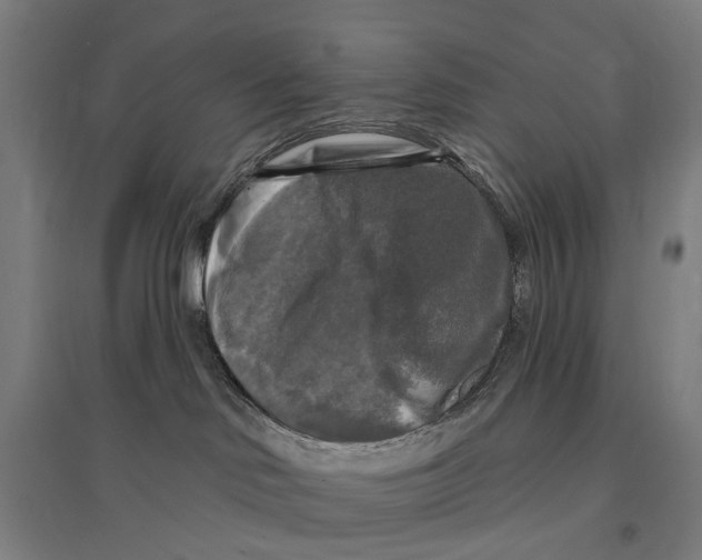 X0000095110046200712301747