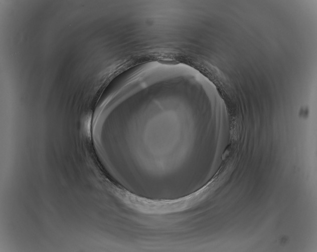 X0000095110047200712301747