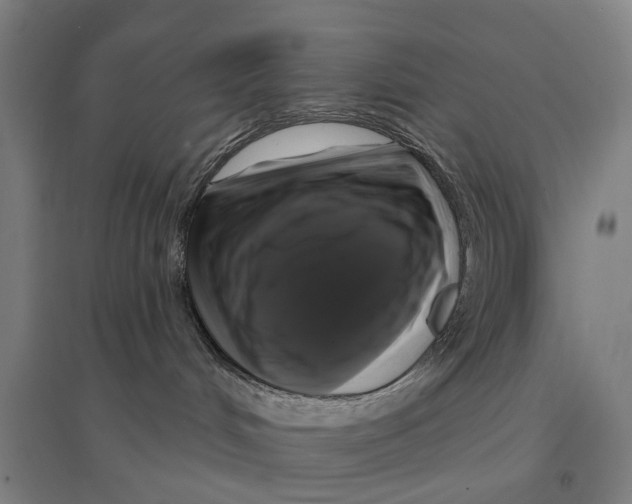 X0000095110048200712301747